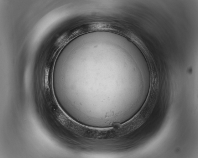 X0000116321439200912151232