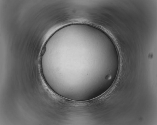 X0000116321440200912151232