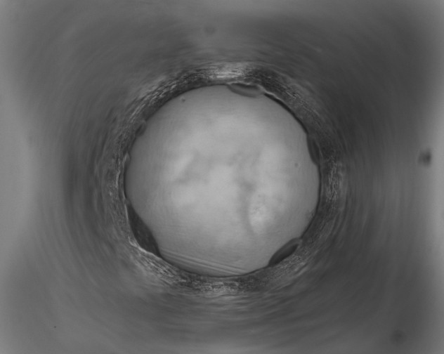 X0000116321441200912151231