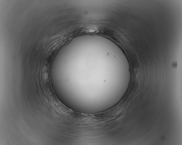 X0000116321442200912151231