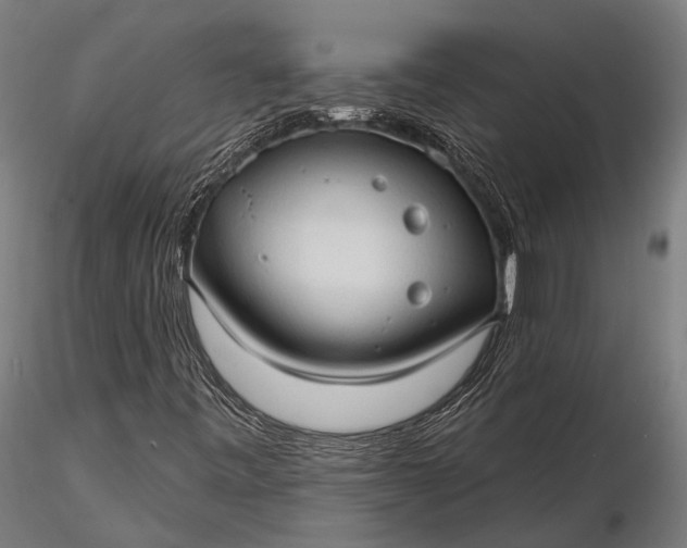 X0000116321443200912151231