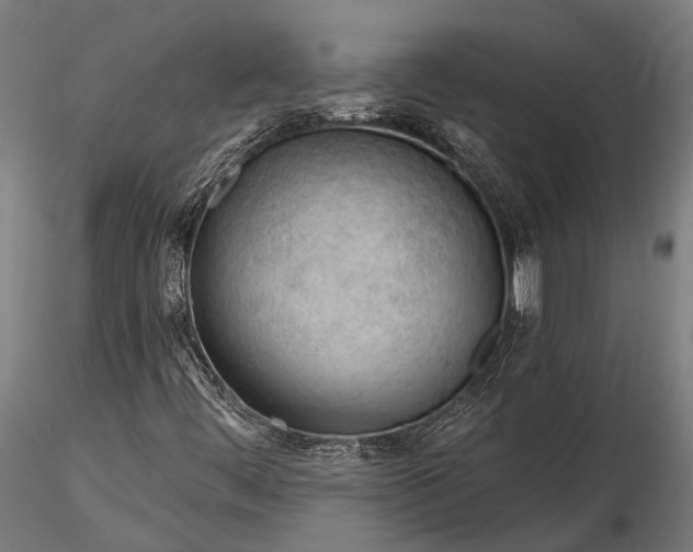 X0000116321444200912151231