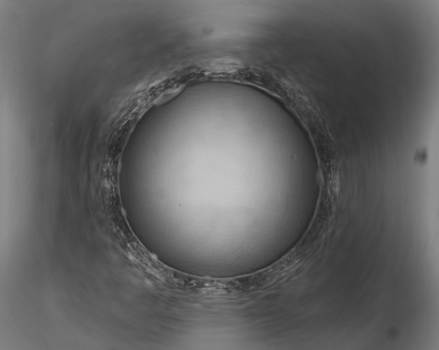 X0000116321445200912151231