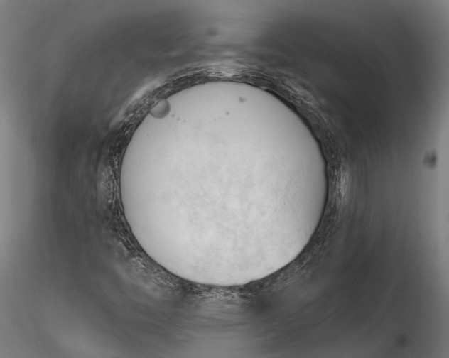 X0000116321446200912151231