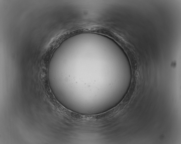 X0000116321447200912151231