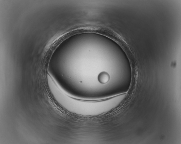 X0000116321448200912151231