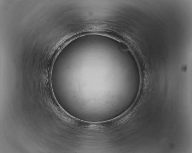 X0000116321449200912151231