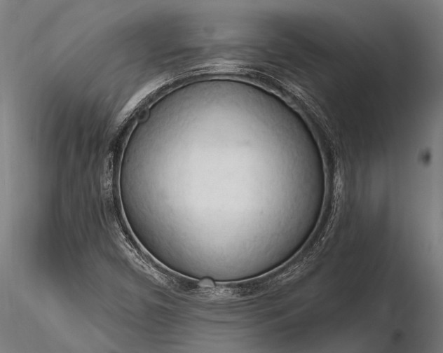 X0000116321450200912151231