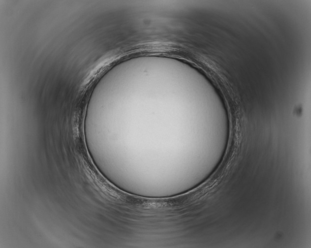 X0000116321451200912151231