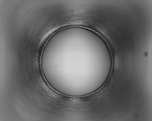 X0000116321452200912151231