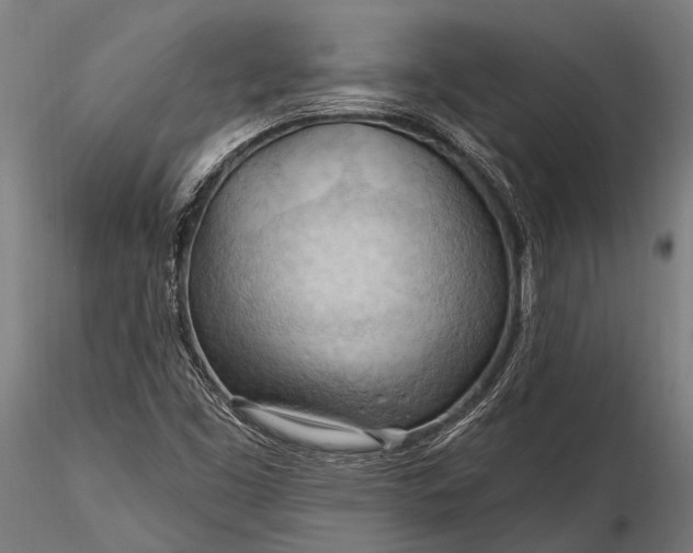 X0000116321453200912151231