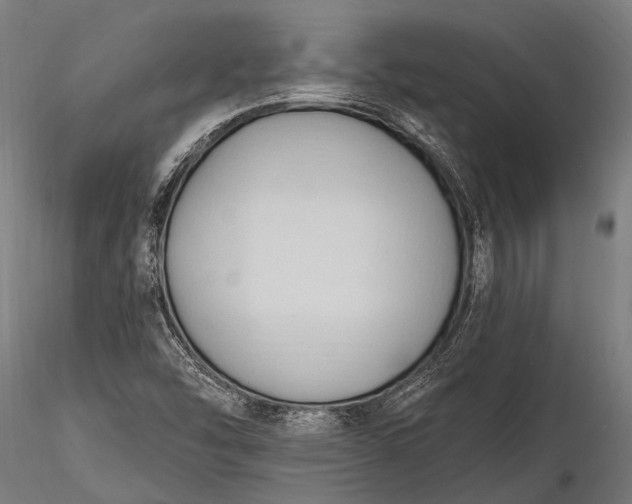 X0000116321454200912151231