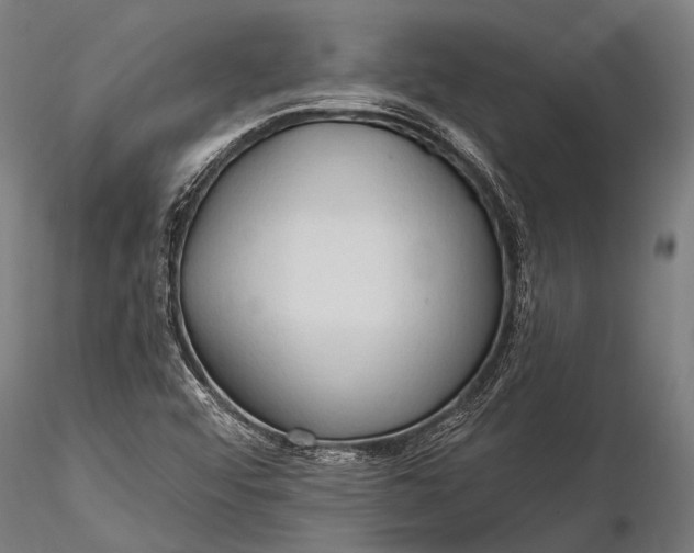 X0000116321456200912151231