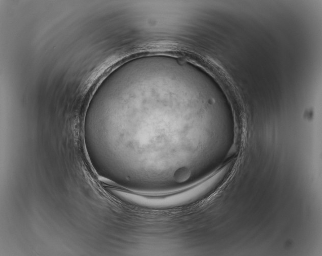 X0000116321457200912151231