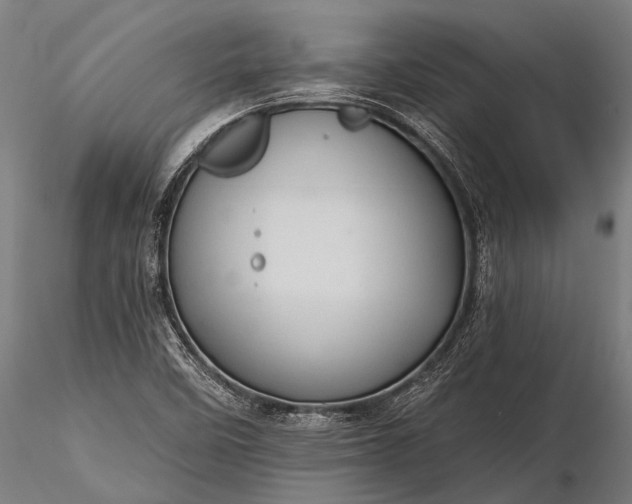 X0000116321458200912151231