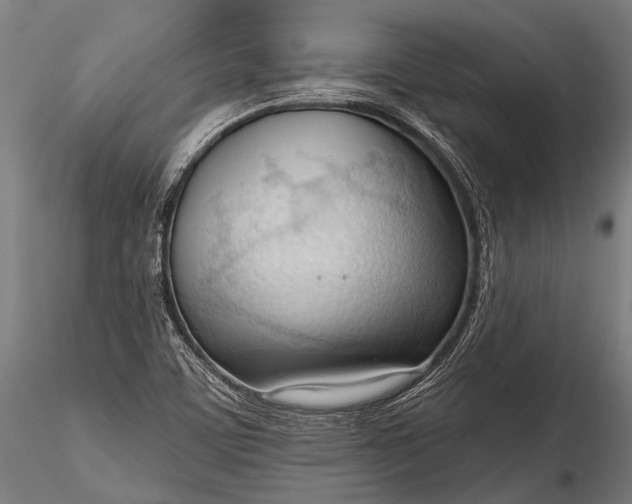 X0000116321459200912151231