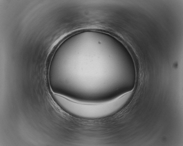 X0000116321460200912151231