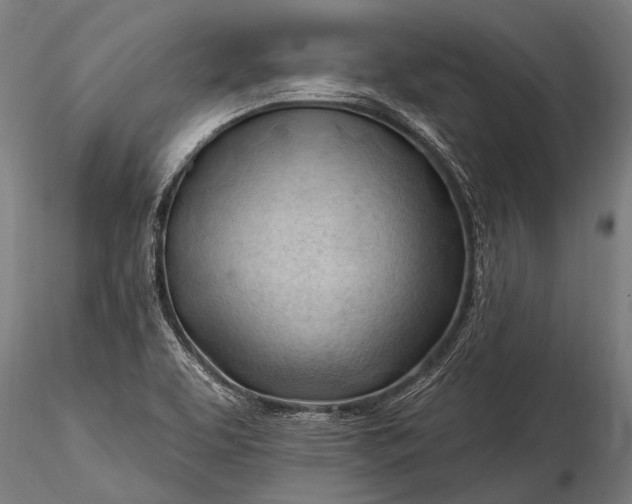 X0000116321463200912151231