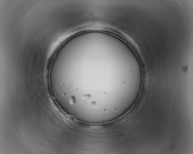 X0000116321464200912151231