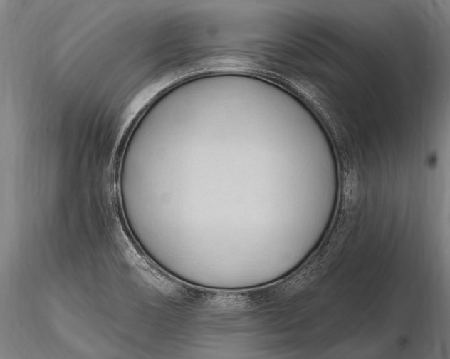 X0000116321466200912151231