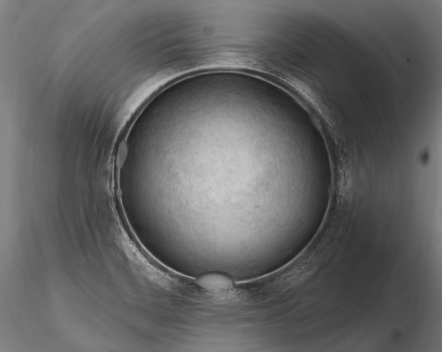 X0000116321468200912151231