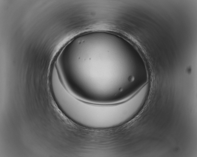 X0000116321469200912151231