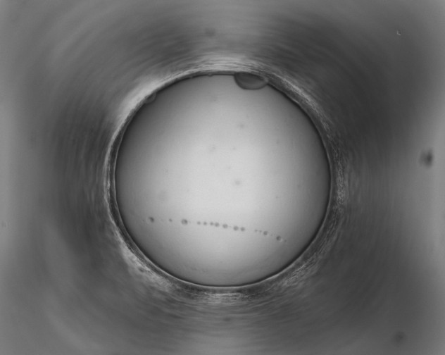 X0000116321471200912151231