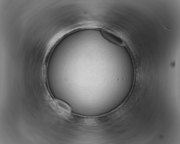 X0000116321472200912151231