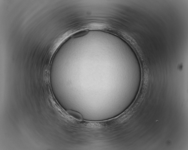 X0000116321473200912151231