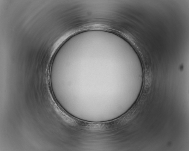 X0000116321474200912151231