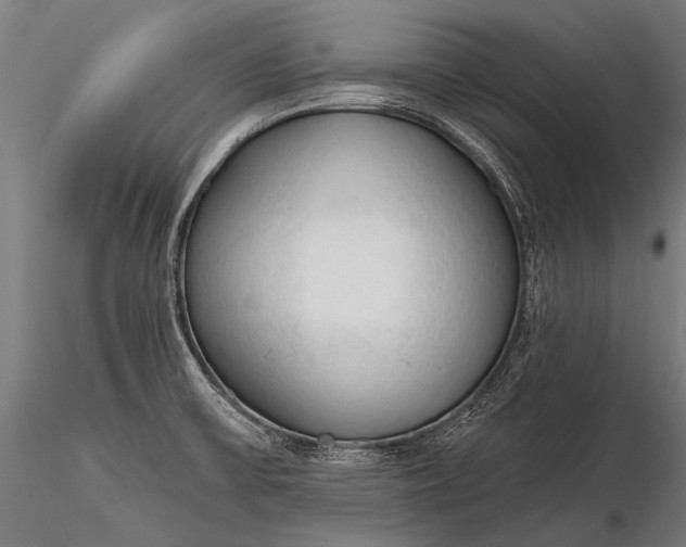 X0000116321475200912151231