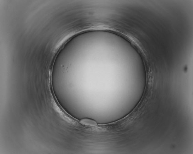 X0000116321476200912151231