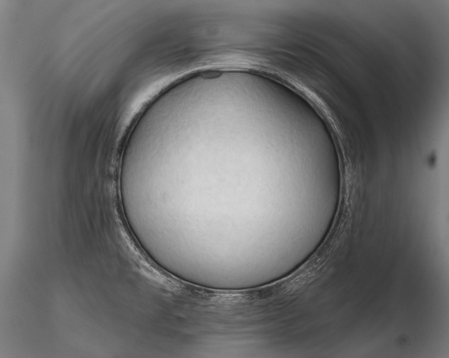 X0000116321477200912151231