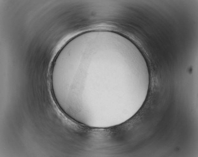 X0000116321478200912151231