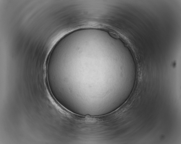 X0000116321479200912151231