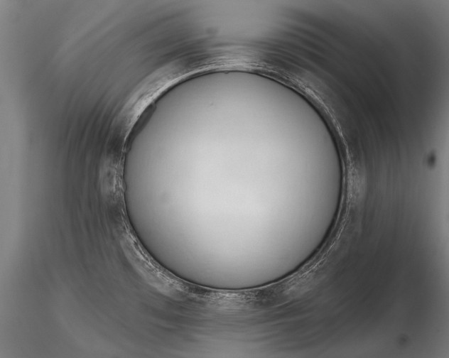 X0000116321481200912151231