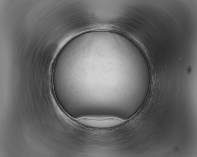 X0000116321483200912151231