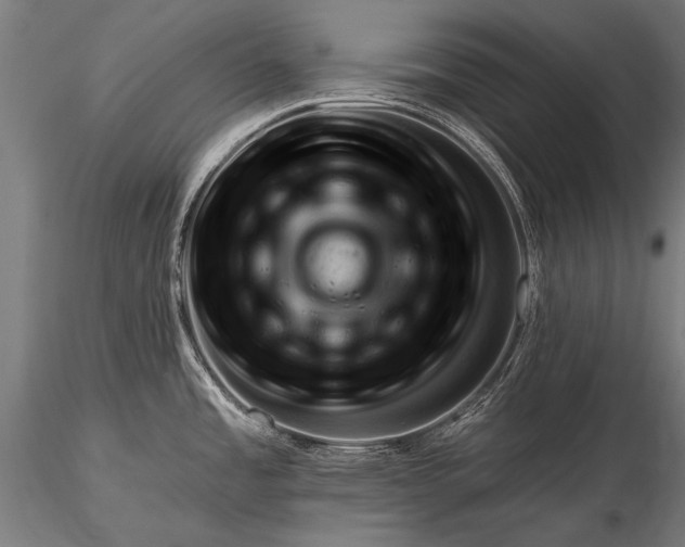 X0000116321485200912151231