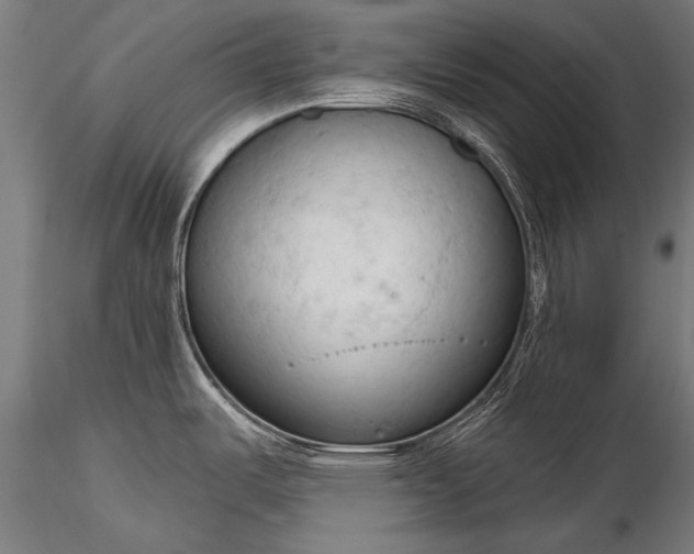 X0000116321487200912151231