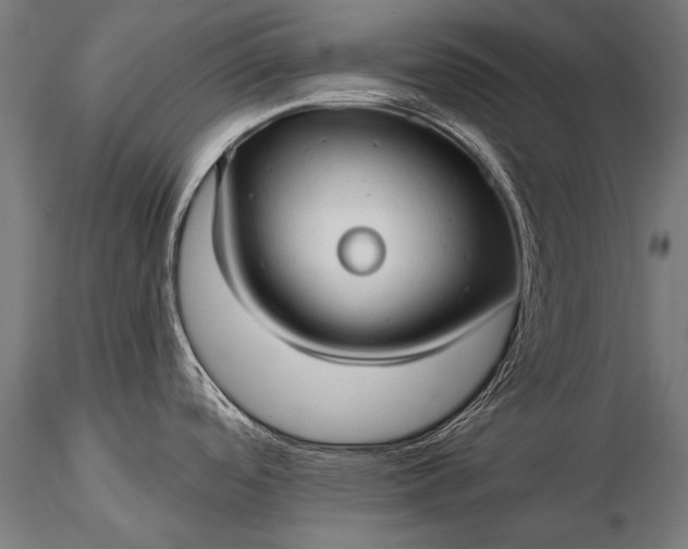 X0000116321488200912151231