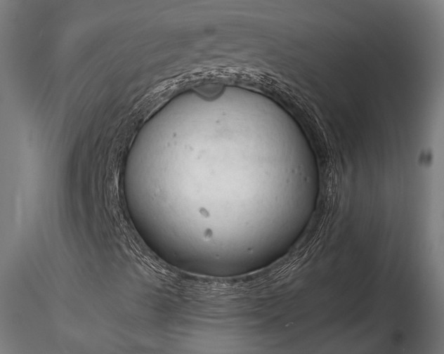 X0000116321489200912151230