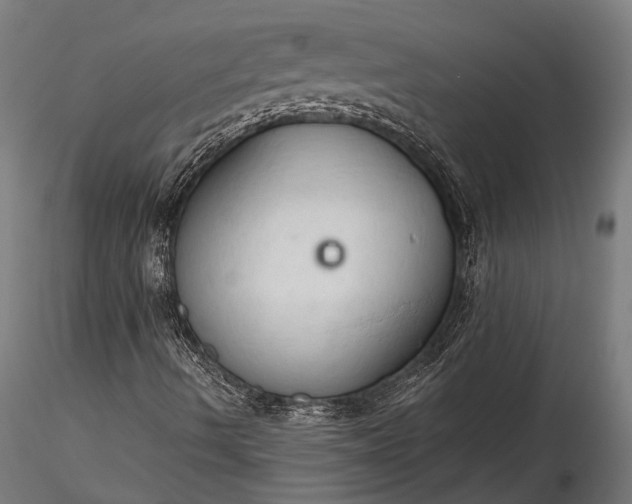 X0000116321490200912151230