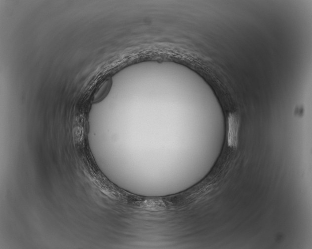 X0000116321491200912151230