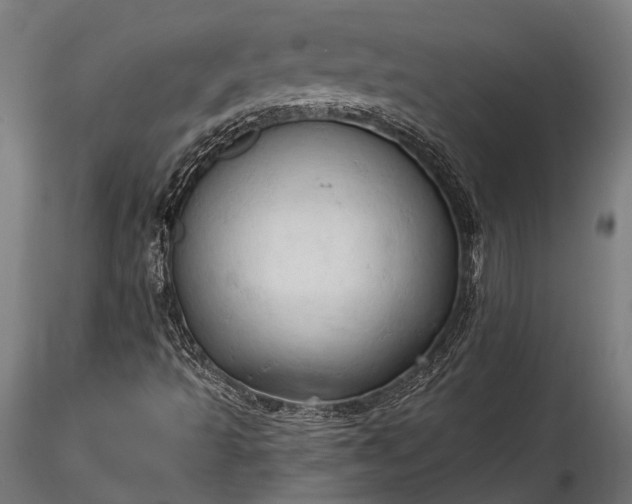 X0000116321493200912151230