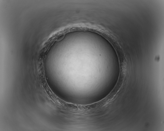 X0000116321494200912151230