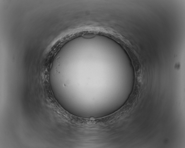 X0000116321495200912151230