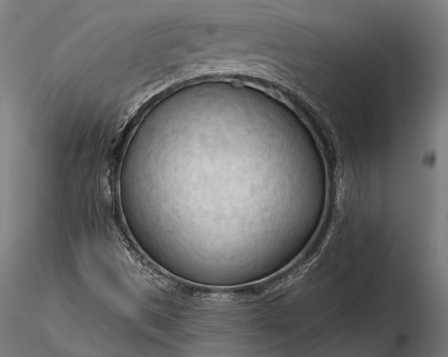 X0000116321497200912151230