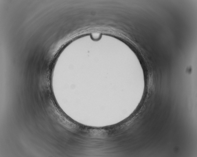 X0000116321498200912151230