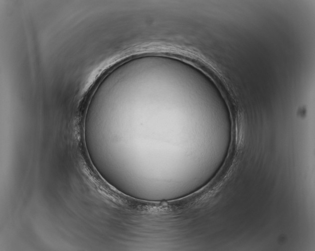 X0000116321501200912151230