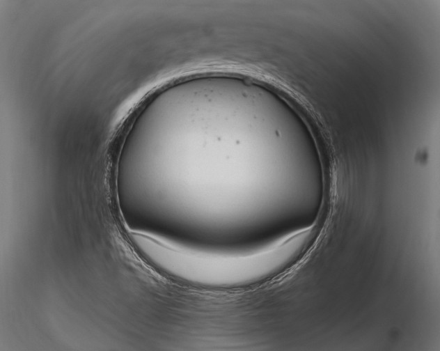 X0000116321502200912151230